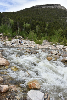 Filename=DSC_6842.JPG
Filesize=20990KiB
Dimensions=4912x7360
Date added=Sep 18, 2019 DSC_6842.JPG