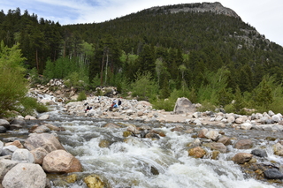 Filename=DSC_6844.JPG
Filesize=24421KiB
Dimensions=7360x4912
Date added=Sep 18, 2019 DSC_6844.JPG