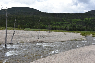 Filename=DSC_6861.JPG
Filesize=22665KiB
Dimensions=7360x4912
Date added=Sep 18, 2019 DSC_6861.JPG