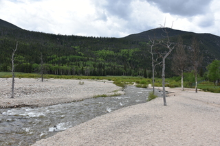 Filename=DSC_6862.JPG
Filesize=22422KiB
Dimensions=7360x4912
Date added=Sep 18, 2019 DSC_6862.JPG