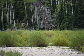 Filename=DSC_6868.JPG
Filesize=19329KiB
Dimensions=7360x4912
Date added=Sep 18, 2019 DSC_6868.JPG