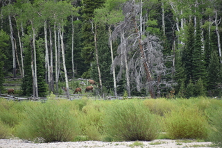 Filename=DSC_6869.JPG
Filesize=21647KiB
Dimensions=7360x4912
Date added=Sep 18, 2019 DSC_6869.JPG