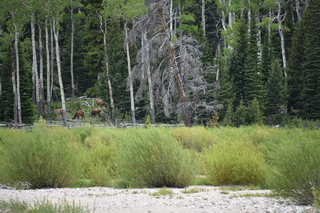 Filename=DSC_6870.JPG
Filesize=21323KiB
Dimensions=7360x4912
Date added=Sep 18, 2019 DSC_6870.JPG