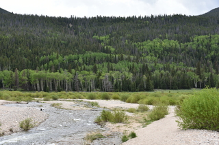 Filename=DSC_6872.JPG
Filesize=21734KiB
Dimensions=7360x4912
Date added=Sep 18, 2019 DSC_6872.JPG