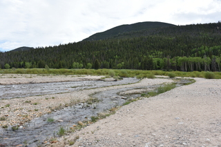 Filename=DSC_6876.JPG
Filesize=22887KiB
Dimensions=7360x4912
Date added=Sep 18, 2019 DSC_6876.JPG