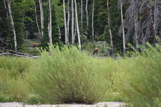 Filename=DSC_6877.JPG
Filesize=19509KiB
Dimensions=7360x4912
Date added=Sep 18, 2019 DSC_6877.JPG