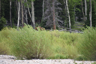 Filename=DSC_6878.JPG
Filesize=19249KiB
Dimensions=7360x4912
Date added=Sep 18, 2019 DSC_6878.JPG