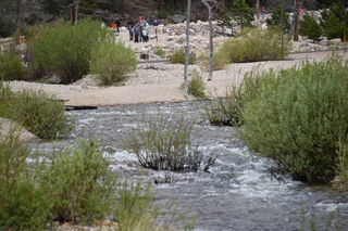 Filename=DSC_6890.JPG
Filesize=20433KiB
Dimensions=7360x4912
Date added=Sep 18, 2019 DSC_6890.JPG