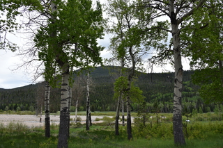 Filename=DSC_6898.JPG
Filesize=25859KiB
Dimensions=7360x4912
Date added=Sep 18, 2019 DSC_6898.JPG