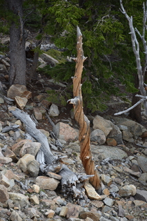 Filename=DSC_6921.JPG
Filesize=17999KiB
Dimensions=4912x7360
Date added=Sep 18, 2019 DSC_6921.JPG