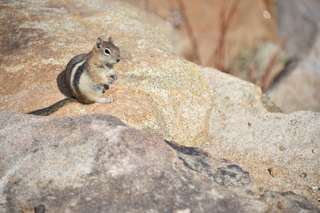 Filename=DSC_6977.JPG
Filesize=17865KiB
Dimensions=7360x4912
Date added=Sep 18, 2019 DSC_6977.JPG