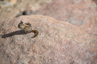 Filename=DSC_6980.JPG
Filesize=20768KiB
Dimensions=7360x4912
Date added=Sep 18, 2019 DSC_6980.JPG