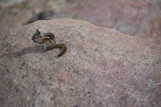 Filename=DSC_6981.JPG
Filesize=19665KiB
Dimensions=7360x4912
Date added=Sep 18, 2019 DSC_6981.JPG