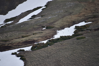 Filename=DSC_7000.JPG
Filesize=19395KiB
Dimensions=7360x4912
Date added=Sep 18, 2019 DSC_7000.JPG