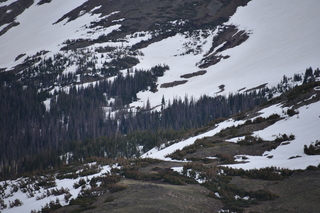 Filename=DSC_7006.JPG
Filesize=18212KiB
Dimensions=7360x4912
Date added=Sep 18, 2019 DSC_7006.JPG