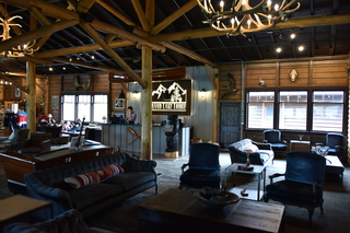 Filename=DSC_7021.JPG
Filesize=16723KiB
Dimensions=7360x4912
Date added=Sep 18, 2019 DSC_7021.JPG