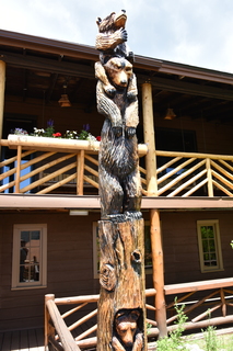 Filename=DSC_7033.JPG
Filesize=15475KiB
Dimensions=4912x7360
Date added=Sep 18, 2019 DSC_7033.JPG