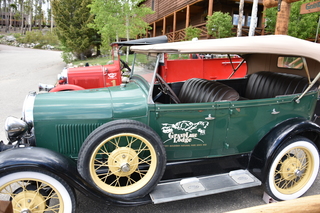 Filename=DSC_7038.JPG
Filesize=18037KiB
Dimensions=7360x4912
Date added=Sep 18, 2019 DSC_7038.JPG