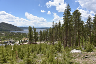 Filename=DSC_7045.JPG
Filesize=23924KiB
Dimensions=7360x4912
Date added=Sep 18, 2019 DSC_7045.JPG