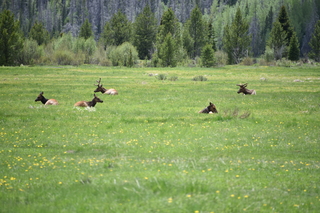 Filename=DSC_7051.JPG
Filesize=19137KiB
Dimensions=7360x4912
Date added=Sep 18, 2019 DSC_7051.JPG