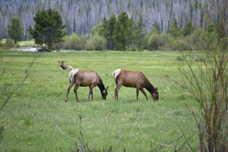 Filename=DSC_7059.JPG
Filesize=18261KiB
Dimensions=7360x4912
Date added=Sep 18, 2019 DSC_7059.JPG