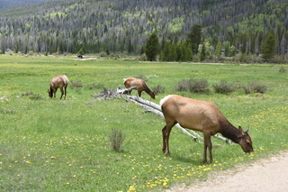 Filename=DSC_7061.JPG
Filesize=25910KiB
Dimensions=7360x4912
Date added=Sep 18, 2019 DSC_7061.JPG