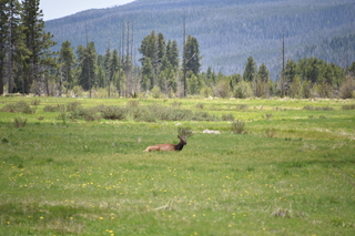 Filename=DSC_7063.JPG
Filesize=18898KiB
Dimensions=7360x4912
Date added=Sep 18, 2019 DSC_7063.JPG