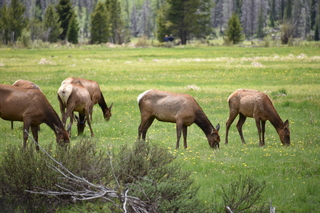 Filename=DSC_7064.JPG
Filesize=18763KiB
Dimensions=7360x4912
Date added=Sep 18, 2019 DSC_7064.JPG