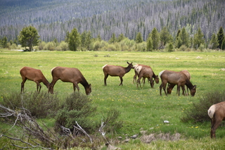 Filename=DSC_7072.JPG
Filesize=20917KiB
Dimensions=7360x4912
Date added=Sep 18, 2019 DSC_7072.JPG