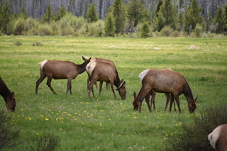 Filename=DSC_7073.JPG
Filesize=18291KiB
Dimensions=7360x4912
Date added=Sep 18, 2019 DSC_7073.JPG