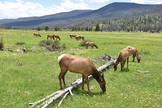 Filename=DSC_7081.JPG
Filesize=25331KiB
Dimensions=7360x4912
Date added=Sep 19, 2019 DSC_7081.JPG