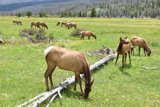 Filename=DSC_7083.JPG
Filesize=26094KiB
Dimensions=7360x4912
Date added=Sep 19, 2019 DSC_7083.JPG