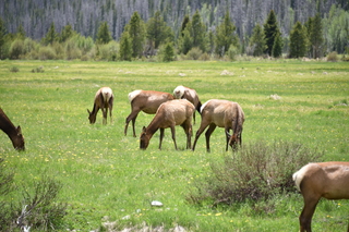 Filename=DSC_7085.JPG
Filesize=20691KiB
Dimensions=7360x4912
Date added=Sep 19, 2019 DSC_7085.JPG