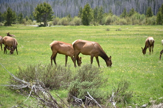 Filename=DSC_7086.JPG
Filesize=20807KiB
Dimensions=7360x4912
Date added=Sep 19, 2019 DSC_7086.JPG