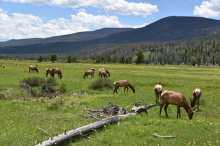 Filename=DSC_7089.JPG
Filesize=23569KiB
Dimensions=7360x4912
Date added=Sep 19, 2019 DSC_7089.JPG