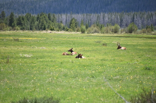 Filename=DSC_7093.JPG
Filesize=19076KiB
Dimensions=7360x4912
Date added=Sep 19, 2019 DSC_7093.JPG