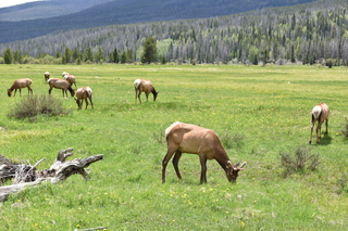 Filename=DSC_7097.JPG
Filesize=24684KiB
Dimensions=7360x4912
Date added=Sep 19, 2019 DSC_7097.JPG