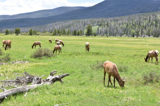 Filename=DSC_7100.JPG
Filesize=24641KiB
Dimensions=7360x4912
Date added=Sep 19, 2019 DSC_7100.JPG