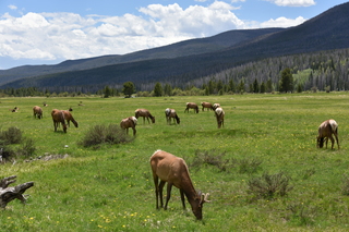 Filename=DSC_7103.JPG
Filesize=23799KiB
Dimensions=7360x4912
Date added=Sep 19, 2019 DSC_7103.JPG