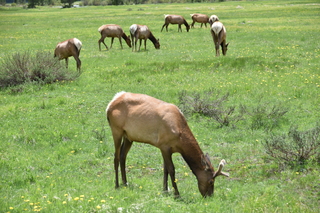 Filename=DSC_7105.JPG
Filesize=24442KiB
Dimensions=7360x4912
Date added=Sep 19, 2019 DSC_7105.JPG