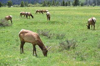 Filename=DSC_7106.JPG
Filesize=26557KiB
Dimensions=7360x4912
Date added=Sep 19, 2019 DSC_7106.JPG