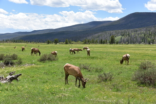 Filename=DSC_7107.JPG
Filesize=23959KiB
Dimensions=7360x4912
Date added=Sep 19, 2019 DSC_7107.JPG