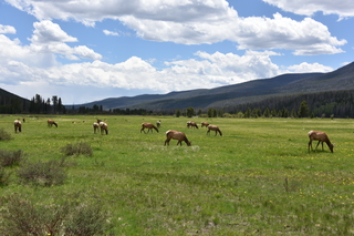 Filename=DSC_7115.JPG
Filesize=22226KiB
Dimensions=7360x4912
Date added=Sep 19, 2019 DSC_7115.JPG