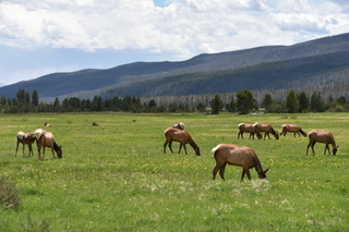 Filename=DSC_7118.JPG
Filesize=21883KiB
Dimensions=7360x4912
Date added=Sep 19, 2019 DSC_7118.JPG