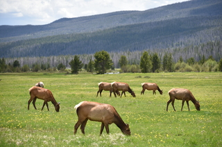 Filename=DSC_7120.JPG
Filesize=19356KiB
Dimensions=7360x4912
Date added=Sep 19, 2019 DSC_7120.JPG