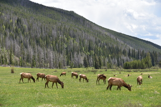 Filename=DSC_7124.JPG
Filesize=22225KiB
Dimensions=7360x4912
Date added=Sep 19, 2019 DSC_7124.JPG