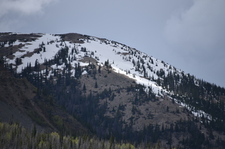 Filename=DSC_7132.JPG
Filesize=16938KiB
Dimensions=7360x4912
Date added=Sep 19, 2019 DSC_7132.JPG