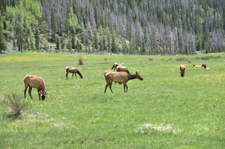 Filename=DSC_7138.JPG
Filesize=23341KiB
Dimensions=7360x4912
Date added=Sep 19, 2019 DSC_7138.JPG