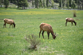 Filename=DSC_7139.JPG
Filesize=21303KiB
Dimensions=7360x4912
Date added=Sep 19, 2019 DSC_7139.JPG