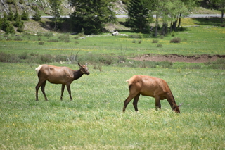 Filename=DSC_7142.JPG
Filesize=19786KiB
Dimensions=7360x4912
Date added=Sep 19, 2019 DSC_7142.JPG